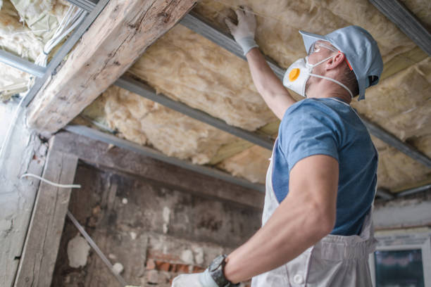 Best Residential Insulation in Posen, IL