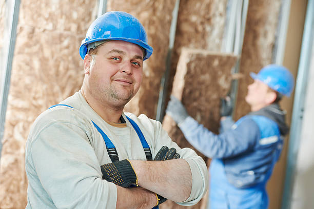 Best Insulation Installation Services in Posen, IL